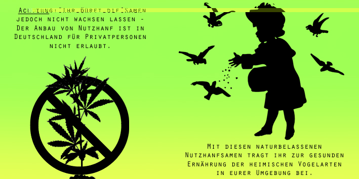 Flyer Entwurf 2.jpg